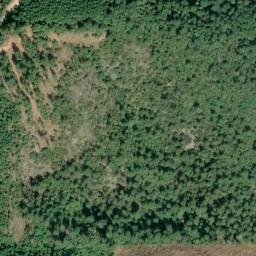 Satellite imagery of Fir Point, US
