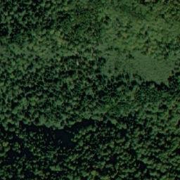 Satellite imagery of Dyado Nikolova Polyana, BG