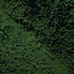 Satellite imagery of Dyado Nikolova Polyana, BG