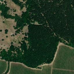 Satellite imagery of Iliytsa, BG