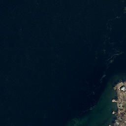Satellite imagery of Long Point, US