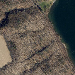 Satellite imagery of Willow Point, US