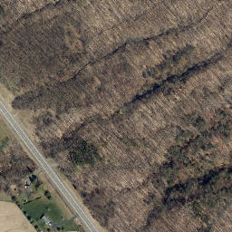 Satellite imagery of Willow Point, US
