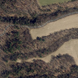 Satellite imagery of Birge Point, US
