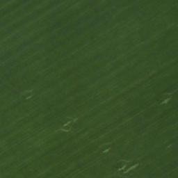 Satellite imagery of TT84, BG