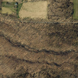 Indian Fort Nature Preserve Genesee Valley Conservancy