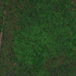 Satellite imagery of Gravelly Point, US