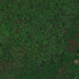 Satellite imagery of Gravelly Point, US
