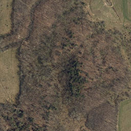 Satellite imagery of Mossy Point, US
