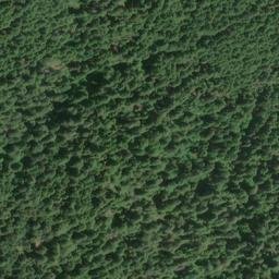 Satellite imagery of Buck Point, US