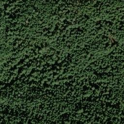 Satellite imagery of Mammoth Lode Mine, US