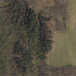 Satellite imagery of Mossy Point, US