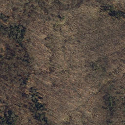 Satellite imagery of Mossy Point, US