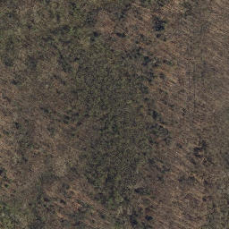 Satellite imagery of Mossy Point, US