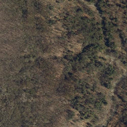 Satellite imagery of Mossy Point, US
