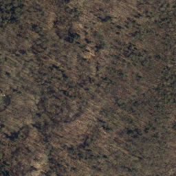 Satellite imagery of Mossy Point, US