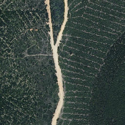 Satellite imagery of survey_point, ES