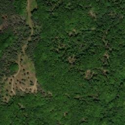 Satellite imagery of Ogorelitsa, BG