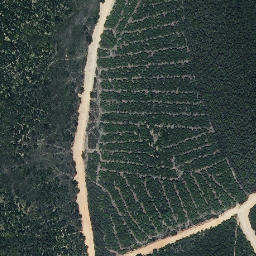 Satellite imagery of survey_point, ES