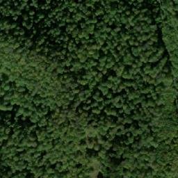 Satellite imagery of Kupena, BG