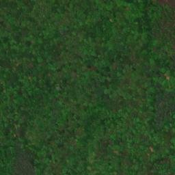 Satellite imagery of Point Florence, US