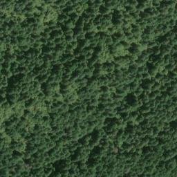 Satellite imagery of Bald Ridge, US
