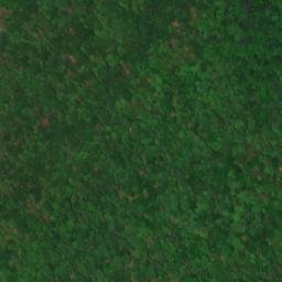 Satellite imagery of Point Florence, US