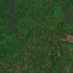 Satellite imagery of Point Florence, US