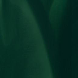 Satellite imagery of Hog Island Point, US