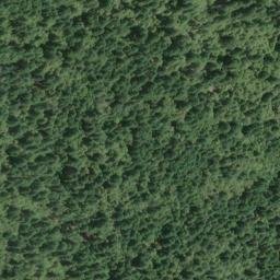 Satellite imagery of Bald Ridge, US