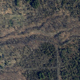 Satellite imagery of Long Point, US