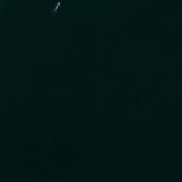 Satellite imagery of Brookwood Point, US