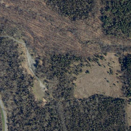 Satellite imagery of Long Point, US