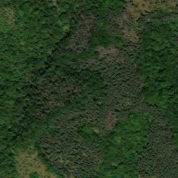 Satellite imagery of TT29003, BG
