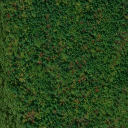 Satellite imagery of Kennedy Ridge, US