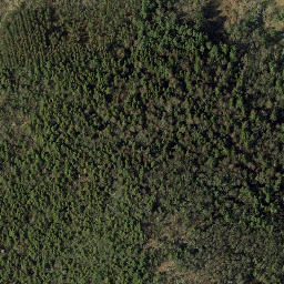 Satellite imagery of O-te-sa-ga Electric Light And Heating Plant, US