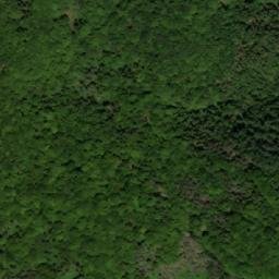 Satellite imagery of Svrdlovica, BG