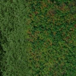 Satellite imagery of Kennedy Ridge, US