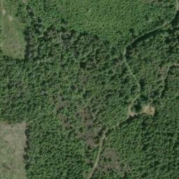 Satellite imagery of Panther Ridge, US