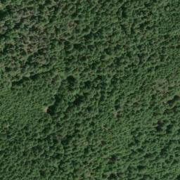 Satellite imagery of Panther Ridge, US