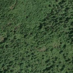 Satellite imagery of Panther Ridge, US