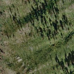 Satellite imagery of Gopher Ridge, US