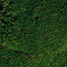 Satellite imagery of Whiskey Point, US