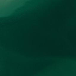 Satellite imagery of Bar Head, US