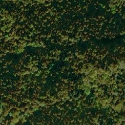 Satellite imagery of Carapulja, ME