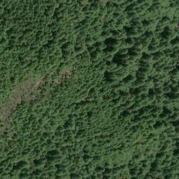 Satellite imagery of Panther Ridge, US