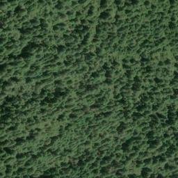 Satellite imagery of Panther Ridge, US