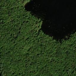 Satellite imagery of Percys Point, US