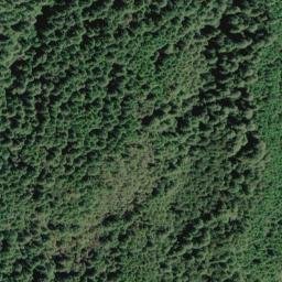 Satellite imagery of Oak Ridge, US