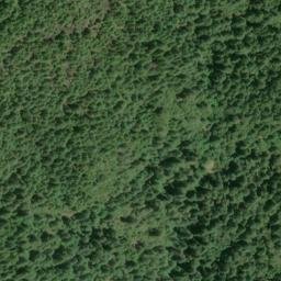 Satellite imagery of Panther Ridge, US